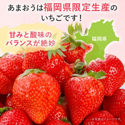 冷凍いちご(あまおう)1kg