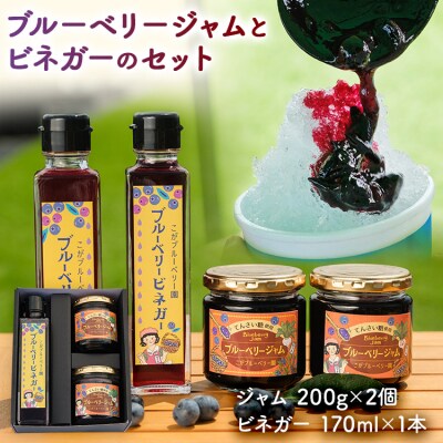 ブルーベリージャム(2個)&ビネガー(1本)セット