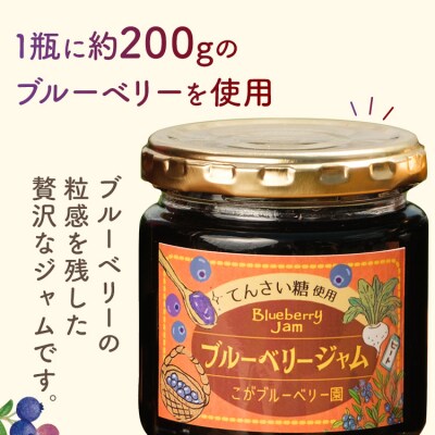 ブルーベリージャム(2個)&ビネガー(1本)セット