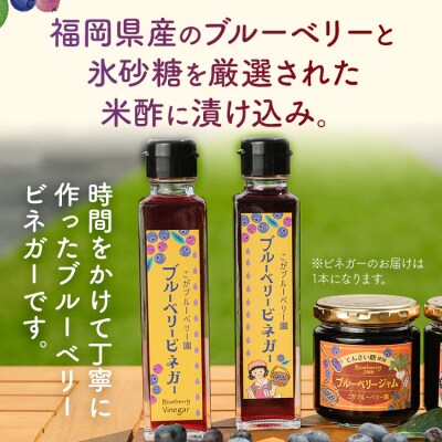 ブルーベリージャム(2個)&ビネガー(1本)セット