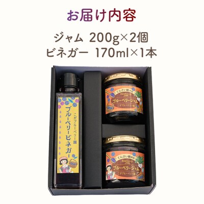 ブルーベリージャム(2個)&ビネガー(1本)セット