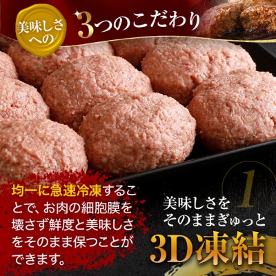 九州産黒毛和牛入り 柔らか牛豚合挽ハンバーグ(12個)