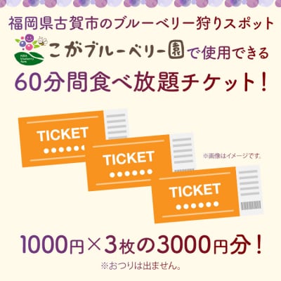ブルーベリー狩り体験 ブルーベリー60分食べ放題チケット!