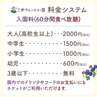 ブルーベリー狩り体験 ブルーベリー60分食べ放題チケット!
