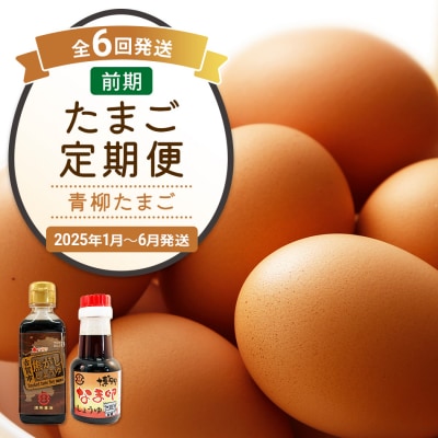 【定期便(6回発送)】たまご(前期)定期便・青柳たまご 2024
