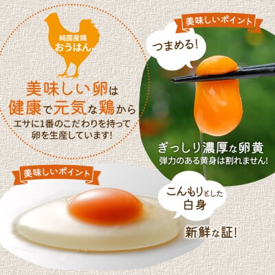 【定期便(6回発送)】たまご(前期)定期便・青柳たまご 2024
