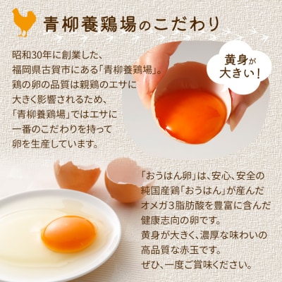 【定期便(6回発送)】たまご(後期)定期便・青柳たまご 2024