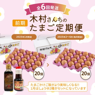 【定期便(6回発送)】木村さんちのたまご(前期)定期便 2024