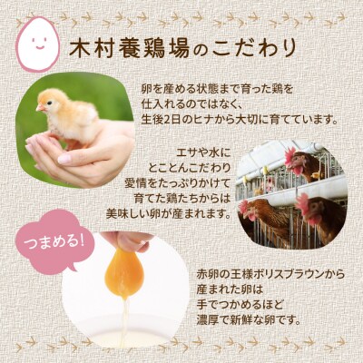 【定期便(6回発送)】木村さんちのたまご(後期)定期便 2024