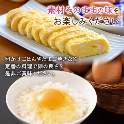 【定期便(6回発送)】木村さんちのたまご(後期)定期便 2024