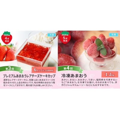 【定期便(5回発送)】いちごづくし定期便 2024