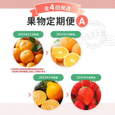 【定期便(4回発送)】果物定期便A 2024
