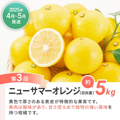 【定期便(3回発送)】果物定期便B 2024