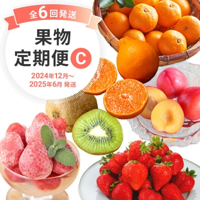 【定期便(6回発送)】果物定期便C 2024