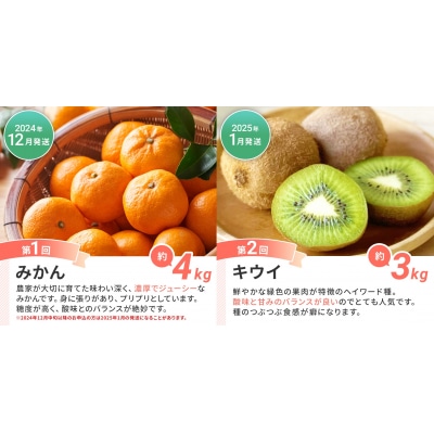 【定期便(6回発送)】果物定期便C 2024