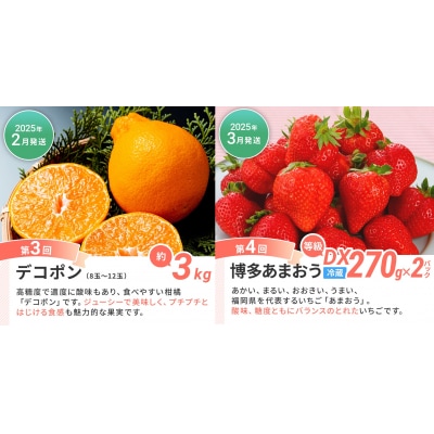 【定期便(6回発送)】果物定期便C 2024