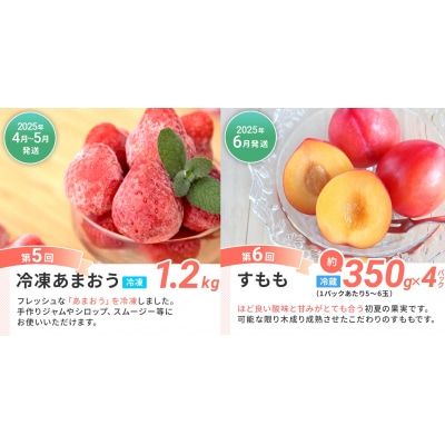 【定期便(6回発送)】果物定期便C 2024