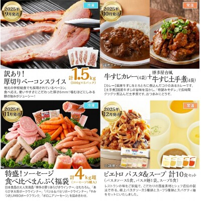 【定期便(12回発送)】古賀人気グルメ定期便 プラチナ2024