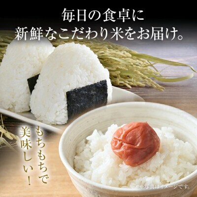 渡さんのこだわり米 10kg 