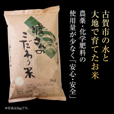 渡さんのこだわり米 定期便 毎月1回5kg×6回発送 計30kg