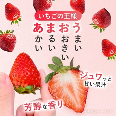 紅白いちごセット(あまおうと天使のいちご)