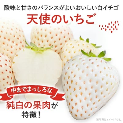 紅白いちごセット(あまおうと天使のいちご)