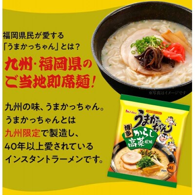 うまかっちゃん<博多からし高菜風味>【10袋】