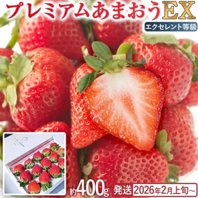 プレミアム あまおう EX(化粧箱入り)いちご  約400g×1パック