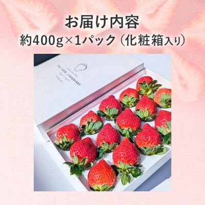 プレミアム あまおう EX(化粧箱入り)いちご  約400g×1パック