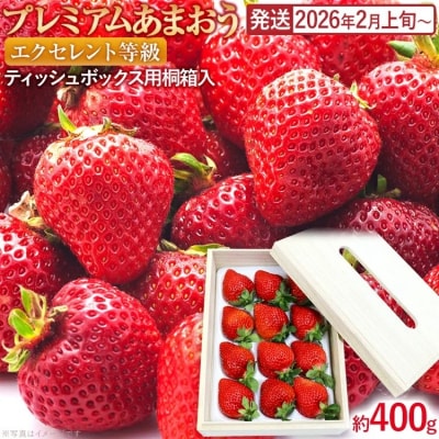 プレミアムあまおうEX (ティッシュボックス用特別仕様の桐箱入り₎約400g×1パック