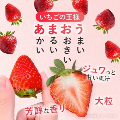 産地直送厳選あまおう 4パックセット約270g×4パック