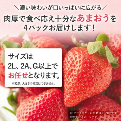 産地直送厳選あまおう 4パックセット約270g×4パック