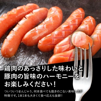 ボリューム1.5kg!　博多の薫り あらびきウィンナー大満足セット