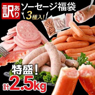 訳あり!ソーセージ食べ比べまんぷく福袋 合計2.5kg