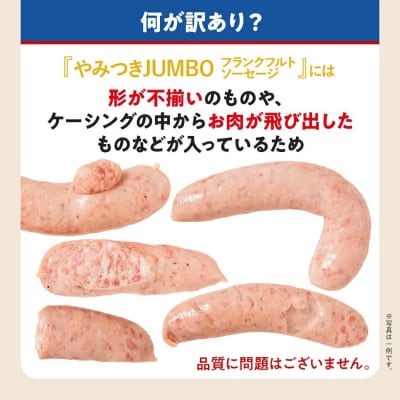 訳あり!特盛!ソーセージ食べ比べまんぷく福袋 合計4.5kg