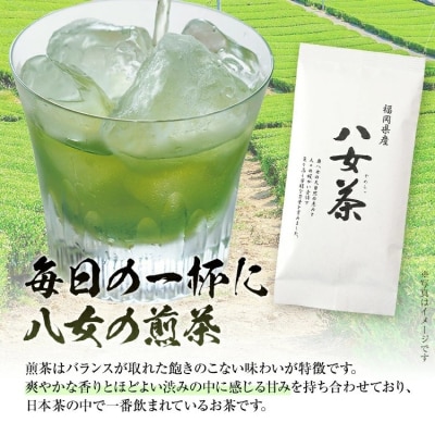 福岡 八女茶 煎茶 600g(100g×6袋)