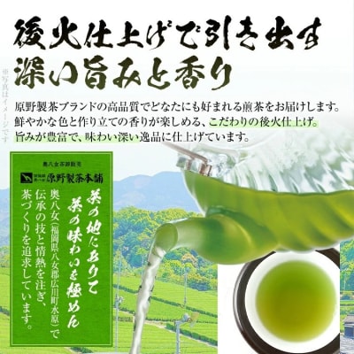 福岡 八女茶 煎茶 200g(100g×2袋)
