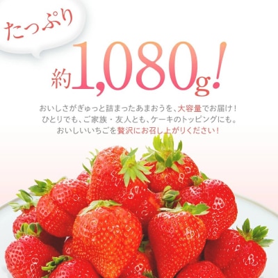 【2026年2月～3月順次発送予定】あまおう  約270g×4パック　合計約1,080g