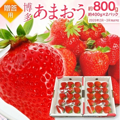 【2026年2月～3月順次発送予定】あまおう  約400g×2パック　合計約800g
