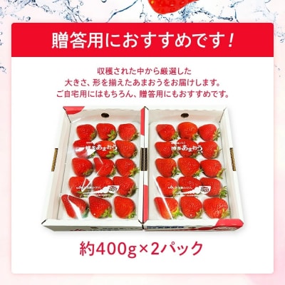 【2026年2月～3月順次発送予定】あまおう  約400g×2パック　合計約800g