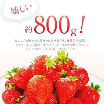 【2026年2月～3月順次発送予定】あまおう  約400g×2パック　合計約800g