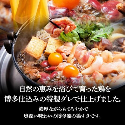 鶏すきセット 2～3人前 ×2セット