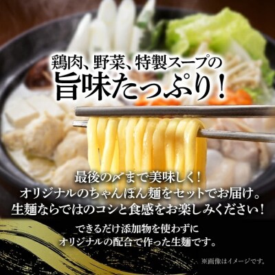 水炊きセット 2～3人前×2セット