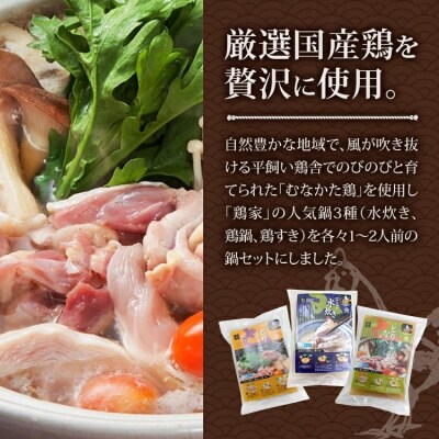 むなかた鶏3種鍋セット