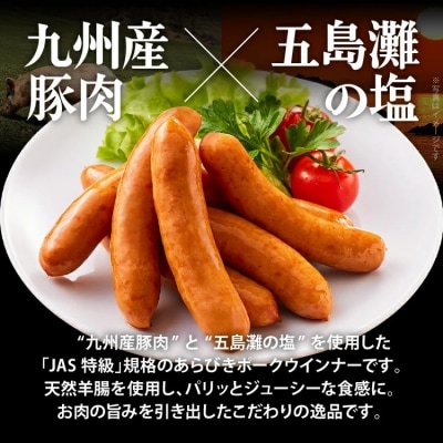 ボリューム1.056kg!九州産豚肉100%あらびきポークウインナーセット