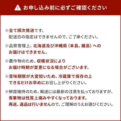 【4回発送】果物定期便A　 2025