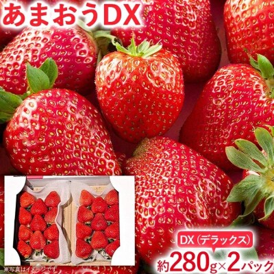 【2026年2月上旬より順次発送】 あまおうDX 約280g×2パック