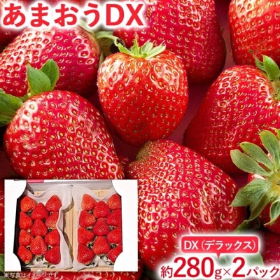【2026年2月上旬より順次発送】 あまおうDX 約280g×2パック