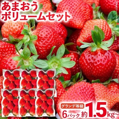 【2026年2月上旬より順次発送】 あまおう ボリュームセット 6パック グランデ等級