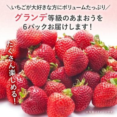 【2026年2月上旬より順次発送】 あまおう ボリュームセット 6パック グランデ等級